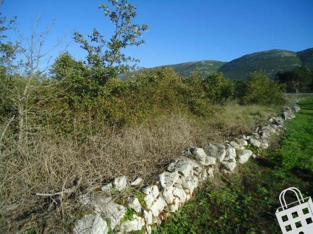 Terreno agrícola