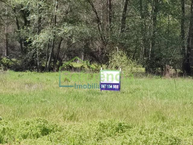 Terreno agrícola