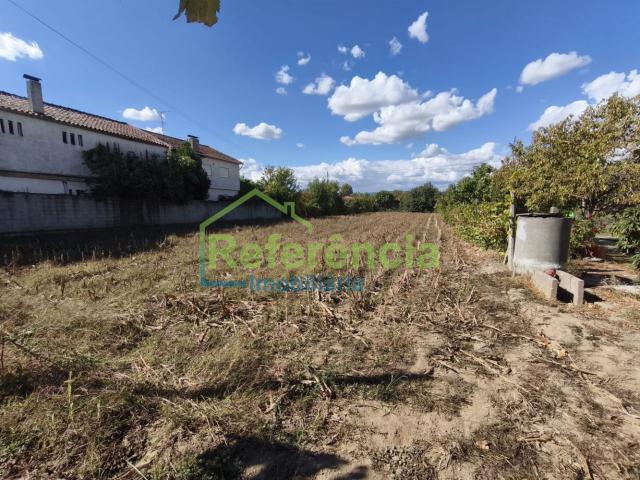 Terreno Agricola