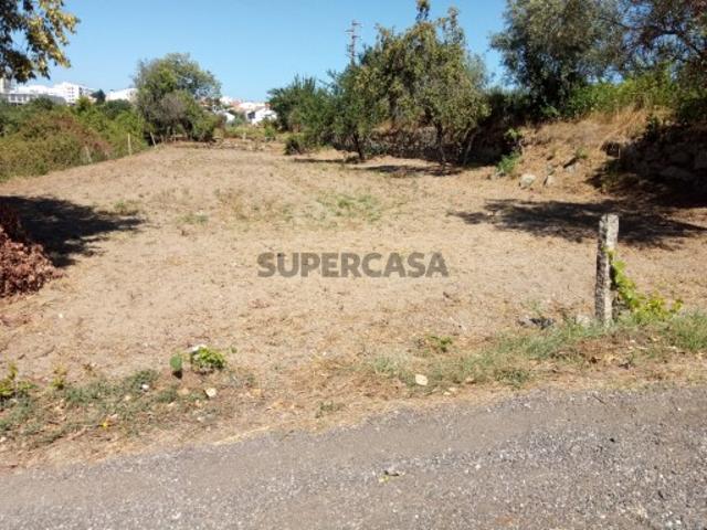Terreno agrícola