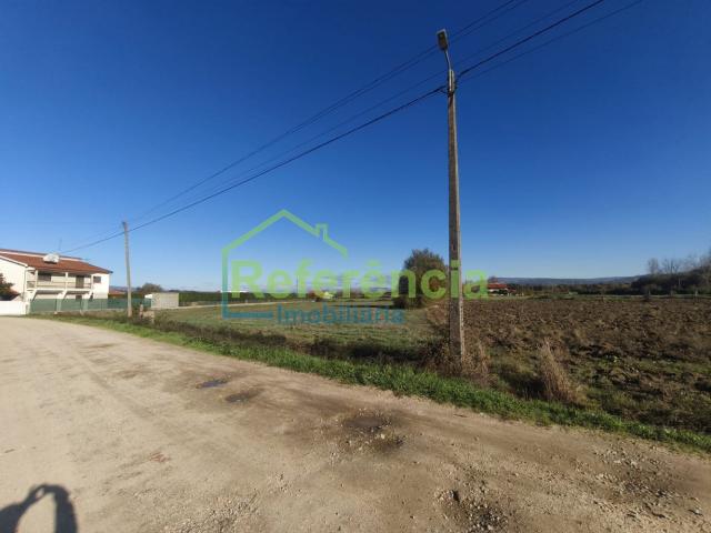 Terreno Agricola