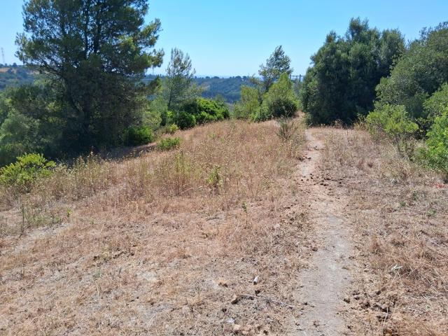 Terreno agrícola