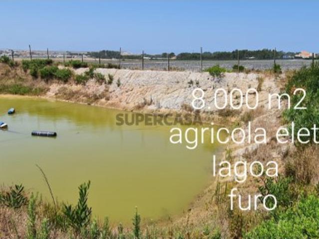 Terreno Agrícola 8.000 m2 | Santa Cruz, Torres Vedras