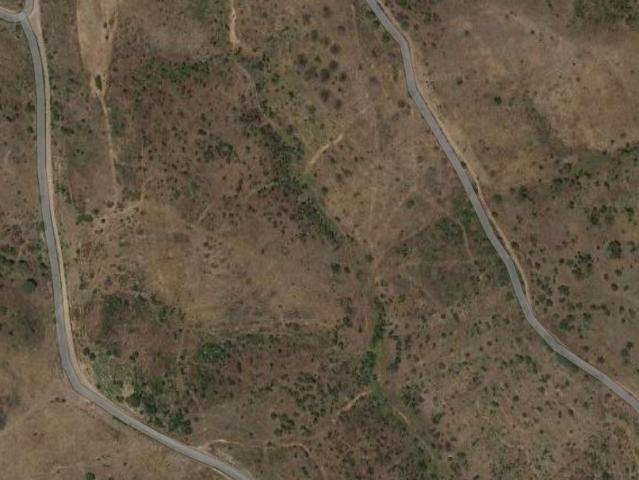 Terreno agricola/florestal, com 50 900m², localizado a 2,5km de Budens, Vila do Bispo, Algarve