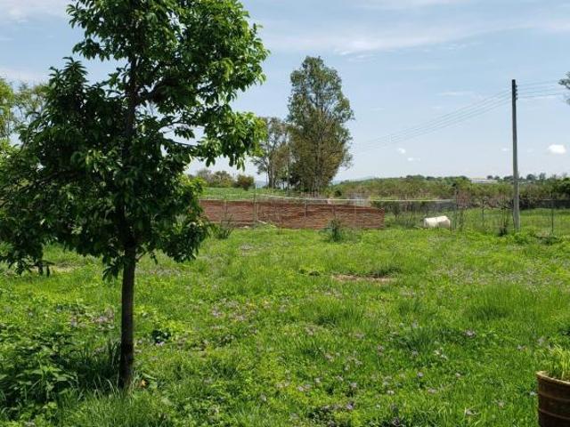 Terreno Agua Escondida Ixtlahuacán de los Menmbrillos