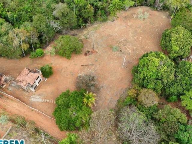 TERRENO EM IPABA COM GRANDE EXTENSÃO DE TERRAS FERTÉIS!