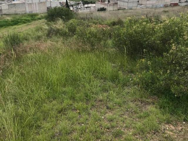 Terreno al mejor precio de TUlaningo