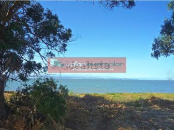 Avenida Dos Barris, Alcochete, Concelho de Benavente, Distrito de Santarém