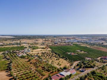 Caminho Agrícola Alvalades-Tunes, Algoz e Tunes, Concelho de Silves, Distrito de Faro, Algarve