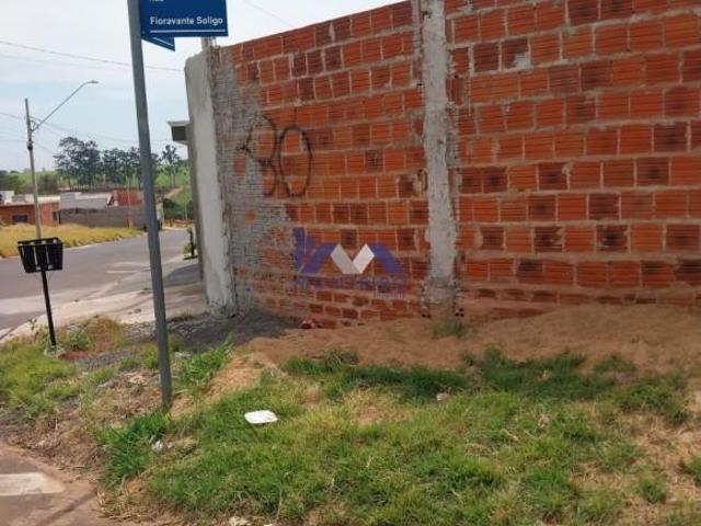 Terreno Loteamento Alexandrina Pereira