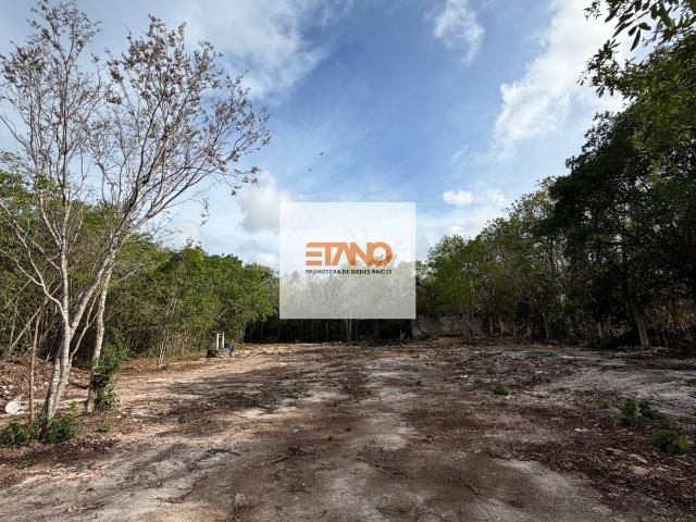 1500 m2 Canc?n, Huayac?n y Colosio, en RENTA