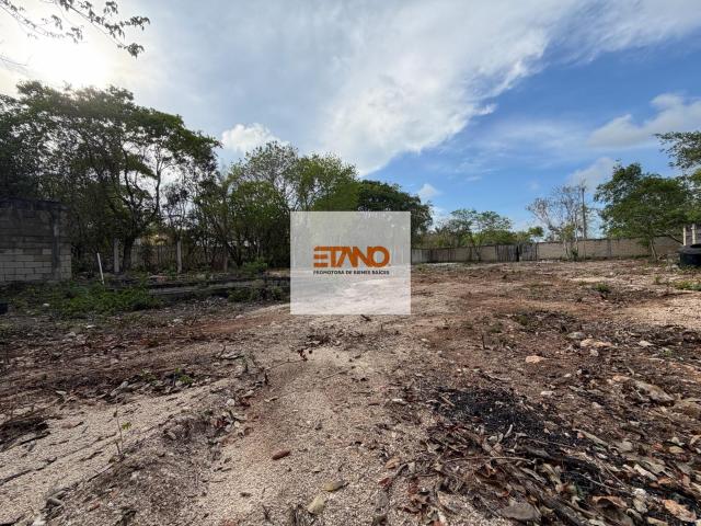 1500 m2 Canc?n, Huayac?n y Colosio, en RENTA