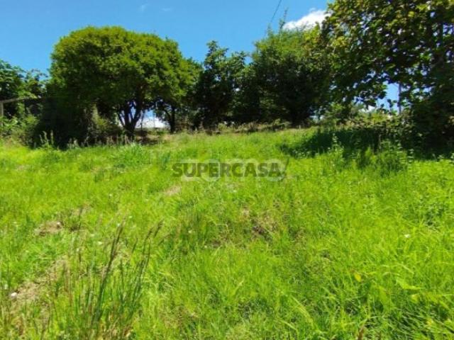 Terreno Almagreira