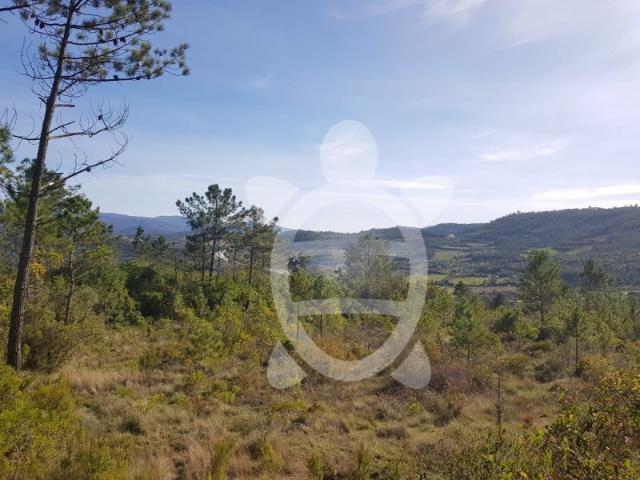 Terreno Almalaguês