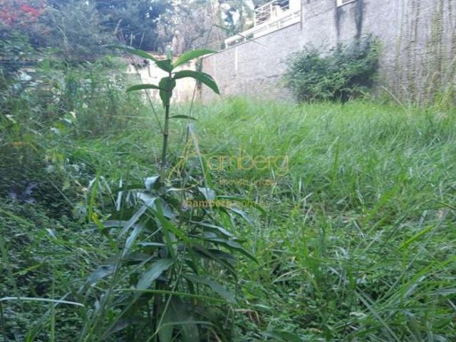 Terreno alto da Boa Vista