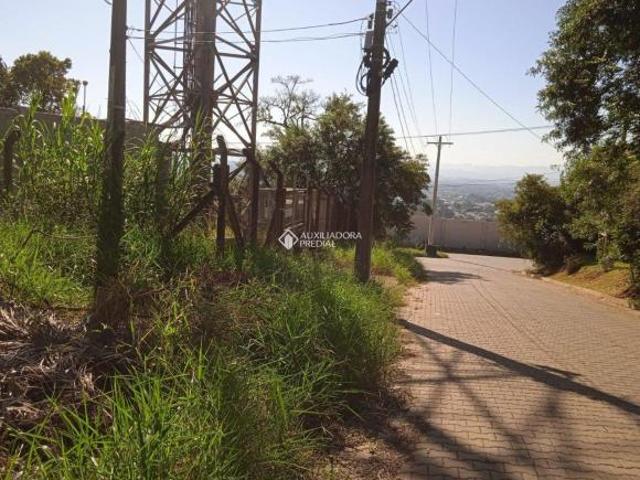 Terreno alto e pronto para construir