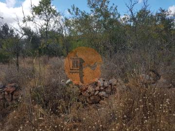 Alte, Loulé, Distrito de Faro, Algarve