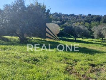 Pico Alto, São Bartolomeu de Messines, Concelho de Silves, Distrito de Faro, Algarve
