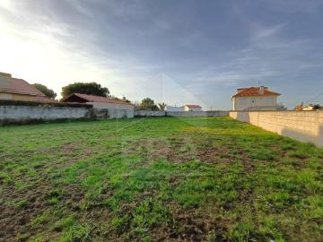 Terreno, Alvarães
