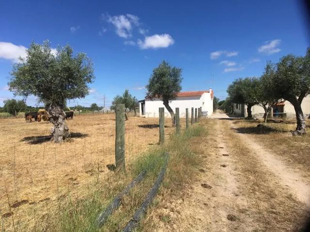 Terreno | Alvega | Santarém