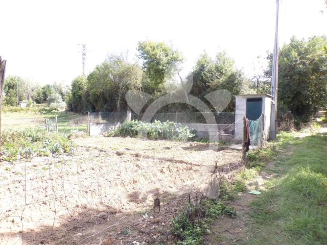 Terreno Ameal
