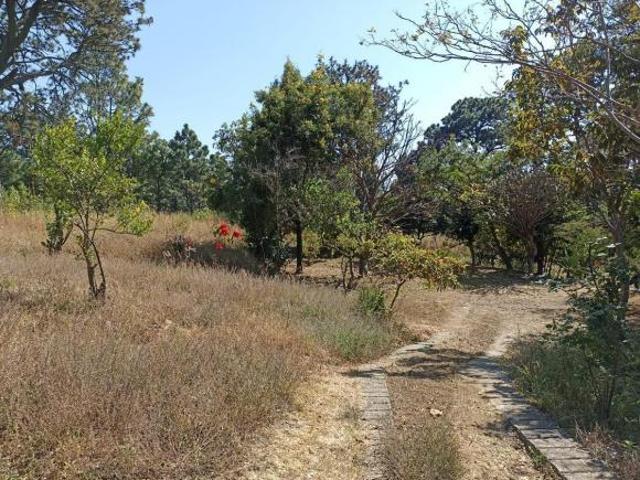 Terreno Ampliación Chamilpa