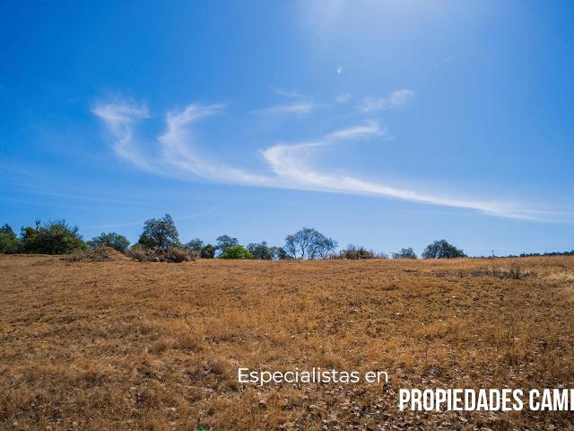 TERRENO AMPLIO CON UN ARROYO Y UNA EXCELENTE UBICACI?N