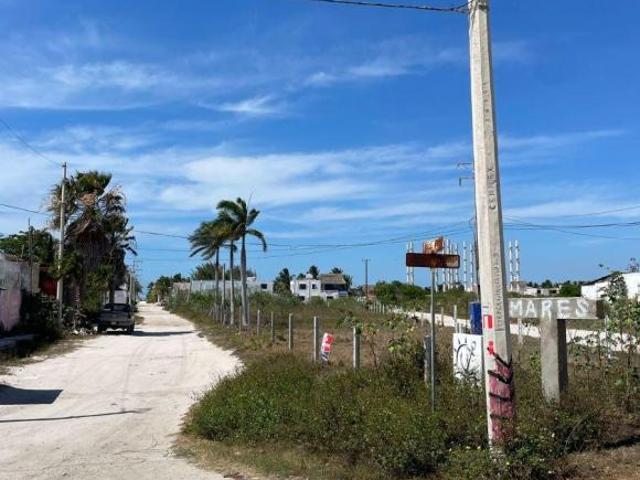 Terreno amplio en Chicxulub Puerto, con disponibilidad inmediata