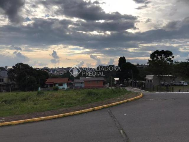 TERRENO AMPLO NA BEIRA DA RS 122 EM FARROUPILHA
