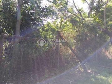 Terreno amplo no bairro Sarandi