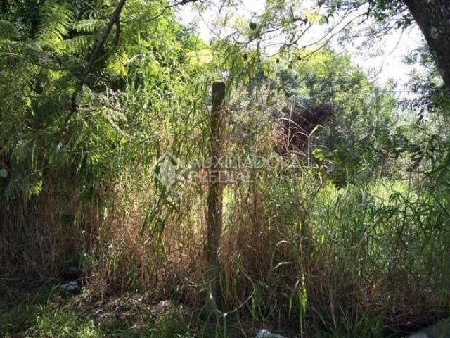 Terreno amplo no bairro Sarandi