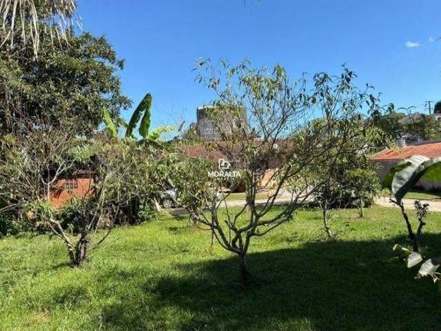 Terreno Amplo no Del Rey com 24m de Testada – Excelente Oportunidade