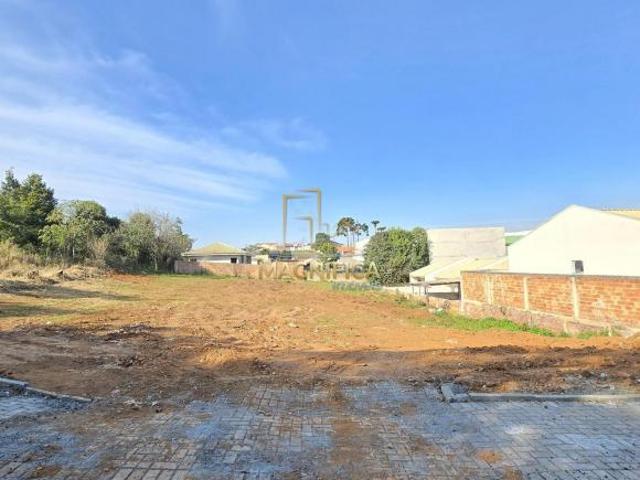 TERRENO AMPLO À VENDA – BAIRRO ESTADOS | Fazenda R