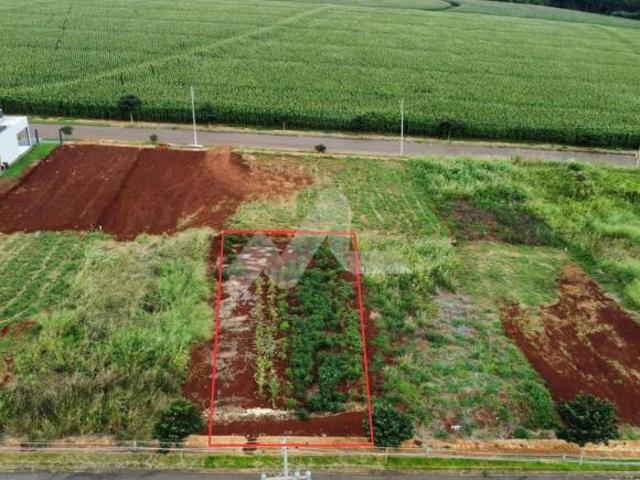 Terreno amplo à venda, Novo Sobradinho, TOLEDO PR