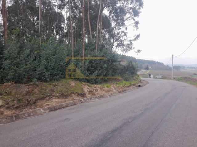 Terreno amplo com boa área de construção Longos Vales Monção