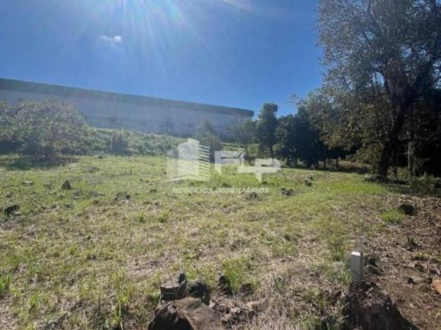 TERRENO AMPLO COM FÁCIL ACESSO PELA RS 452