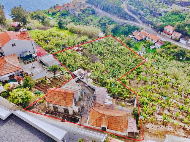 Terreno Amplo com Moradia Tradicional e Palheiro Ponta do Sol