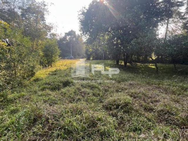 TERRENO AMPLO EM SANTA TERESINHA