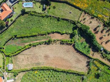Terreno amplo para investimento em Arouca