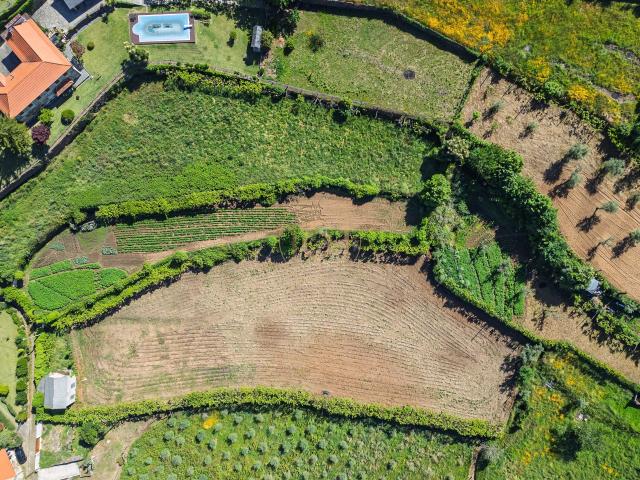 Terreno amplo para investimento em Arouca