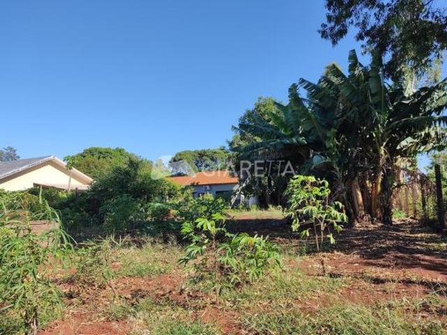 Terreno amplo para venda no JARDIM GISELA em TOLEDO PR
