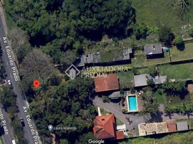 Terreno Amplo 20m X 113,50m na Av. Eduardo Prado bem localizado!
