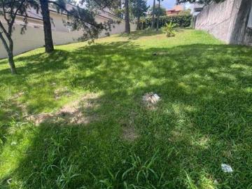 Terreno amplo