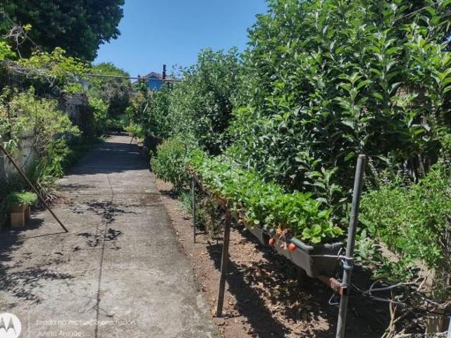 Terreno amplo, 708,06 m², com ótima localização no bairro Guarujá, Zona Sul Porto Alegre