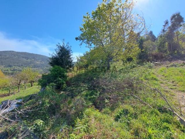 Terreno Âncora