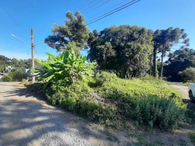 Terreno Ana Rech