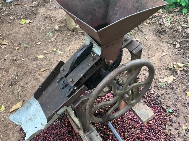 Terreno antigua finca cafetalera 13.5 has