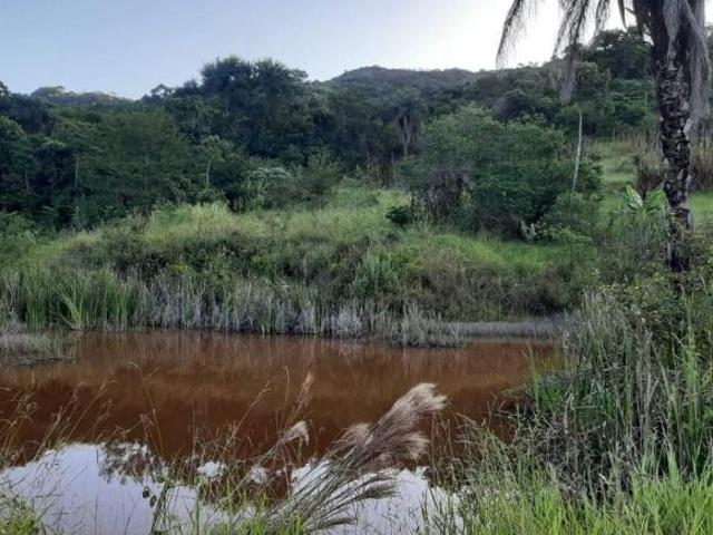 Terreno / Área à venda, Fazenda da Ressaca Monsenhor Horta/MG