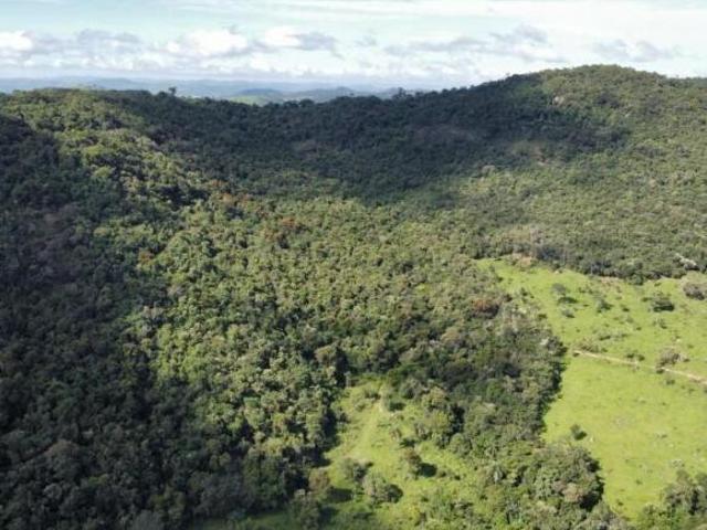Terreno Área para venda Zona Rural Itaguara