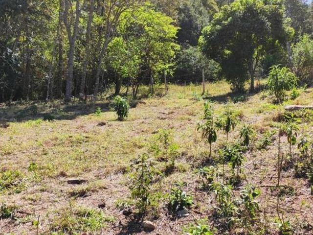 Terreno Área para venda Zona Rural Itapeva